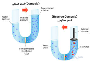 اسمز معکوس چیست