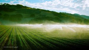 کاهش شوری آب های کشاورزی